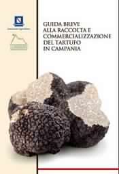 copertina del volume